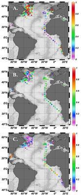 Size Class Dependent Relationships between Temperature and Phytoplankton Photosynthesis-Irradiance Parameters in the Atlantic Ocean